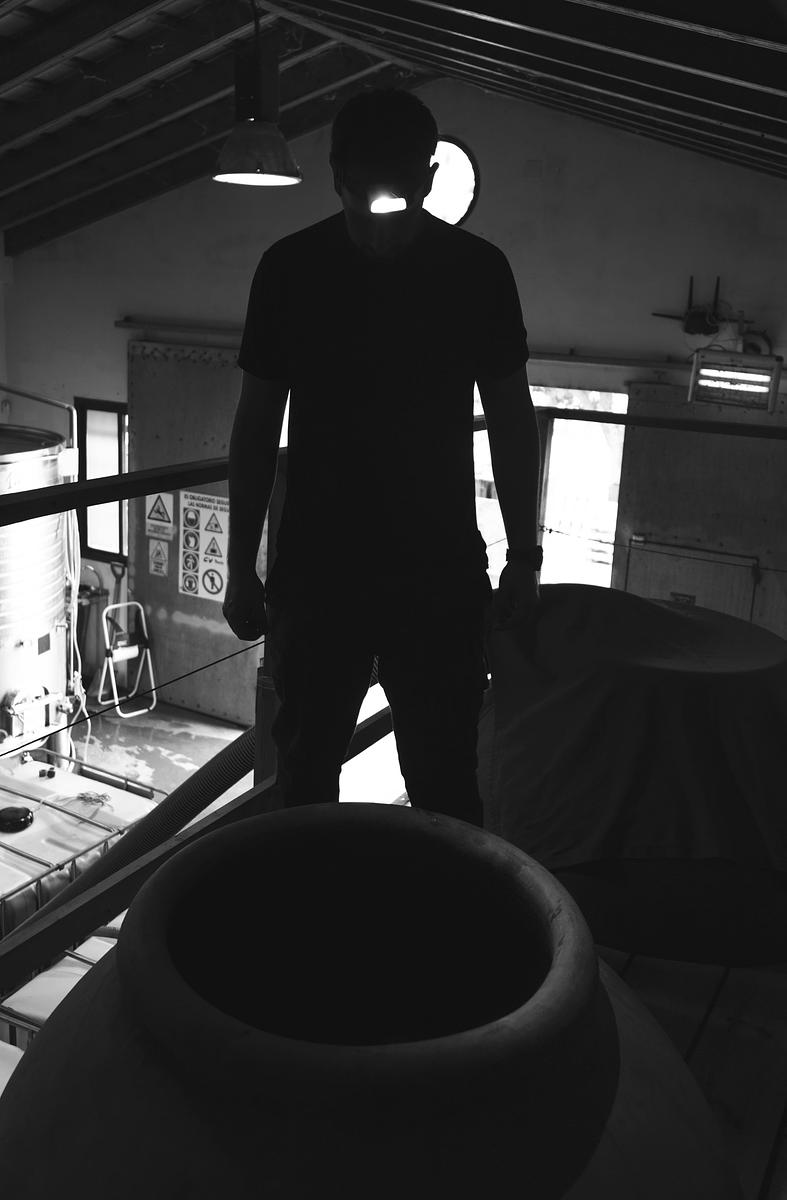 Gallery image 11
