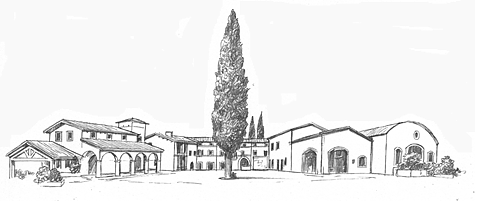 Gallery image 19