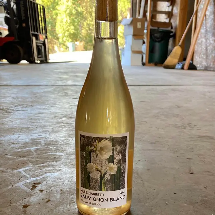 Sauvignon Blanc - Master