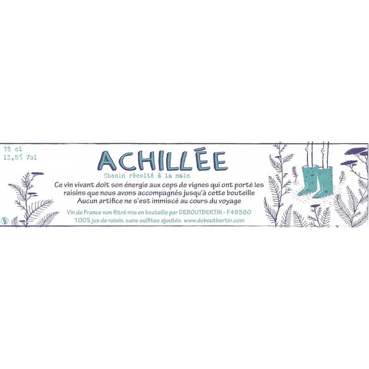 Achilée - Master