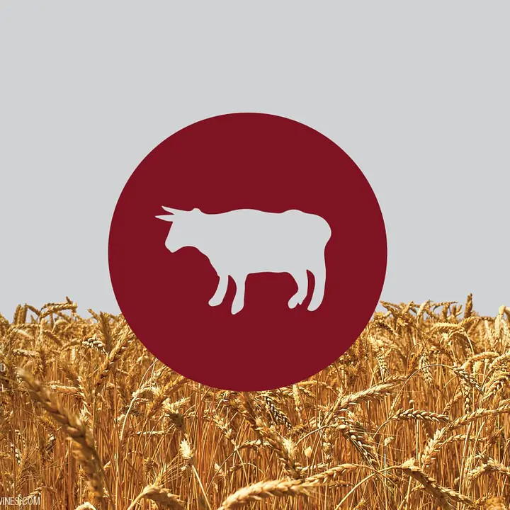 Stillwater x Meinklang Spelt Farmhouse - Master