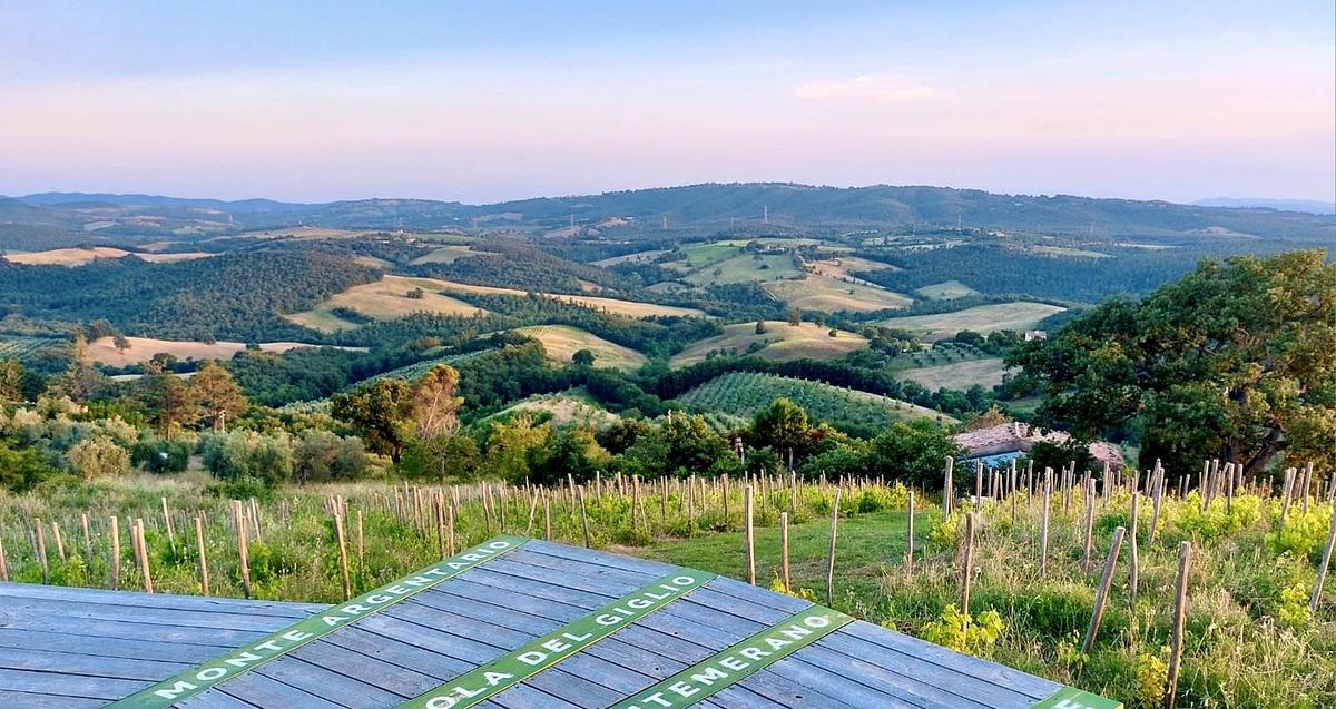 Gallery image 7