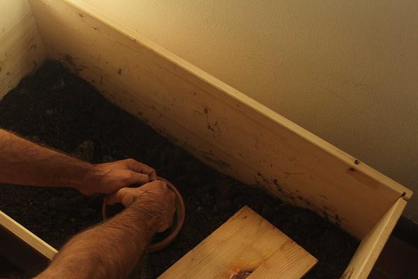 Gallery image 7
