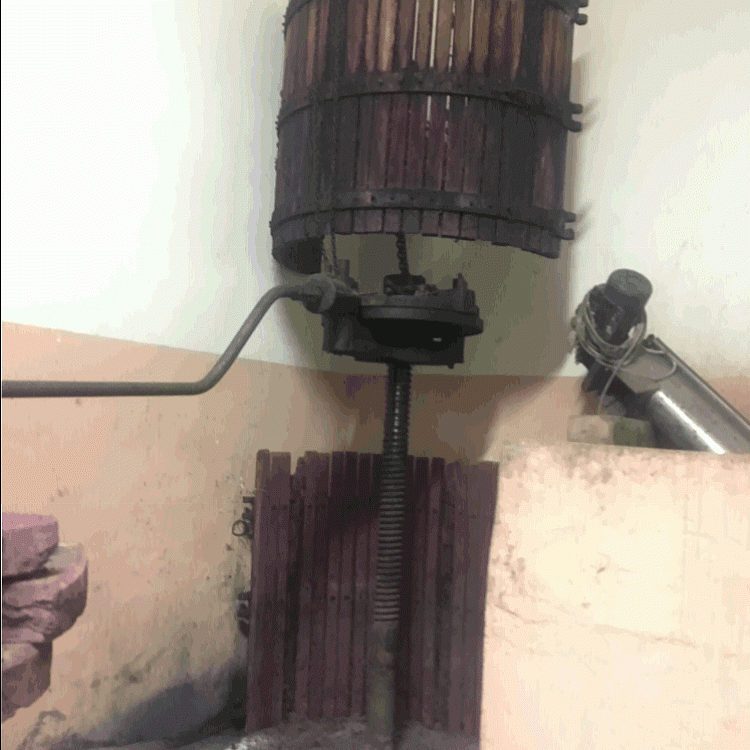 Gallery image 7