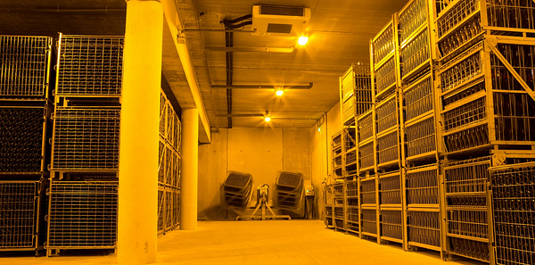 Gallery image 13