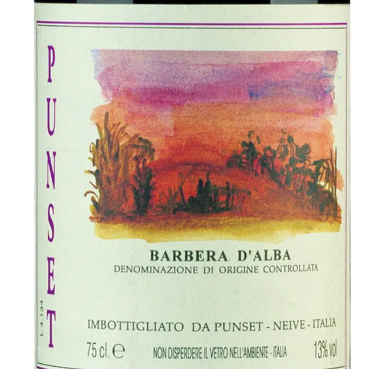 BARBERA D'ALBA DOC - Master
