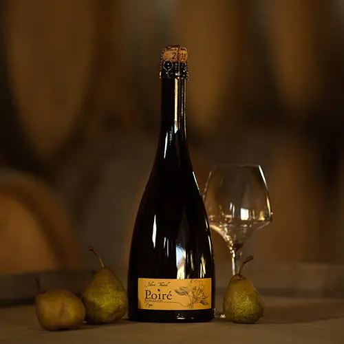Pagus - Poiré Extra Brut - Master