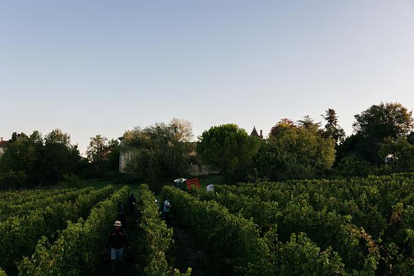 Gallery image 7