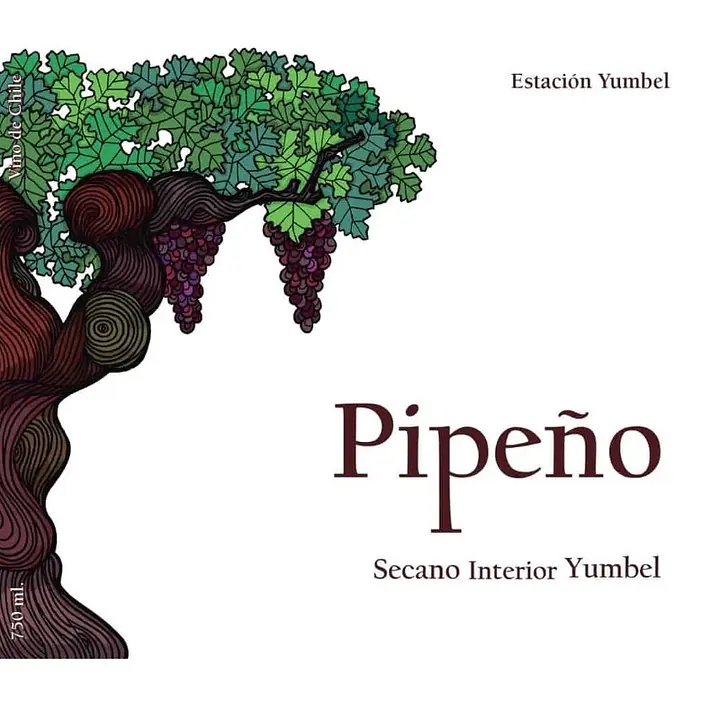 Pipeño, Pais - Master