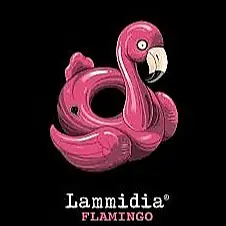 Flamingo - Master