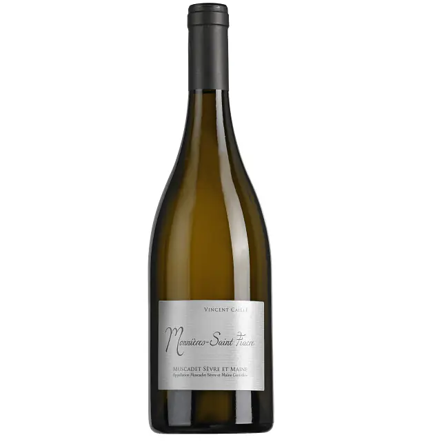 Monnières Saint Fiacre - Master