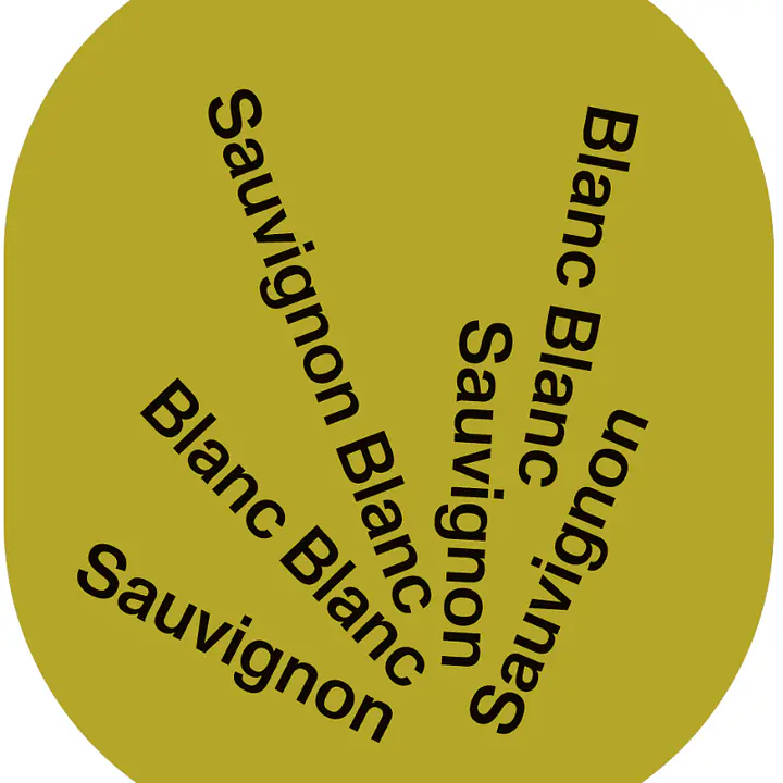 Sauvignon blanc 2021 - Master