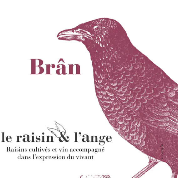 Bran - Master