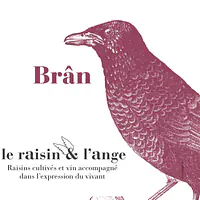 Bran - Master