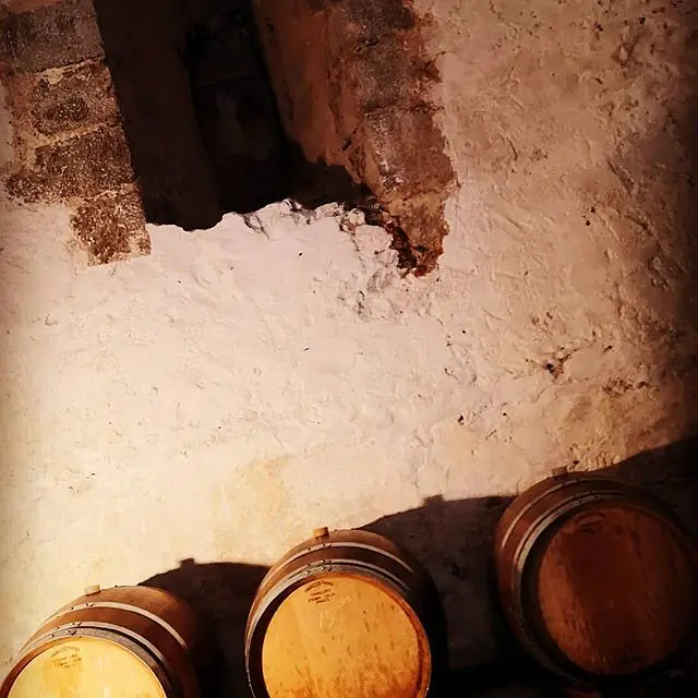 Love is Rivesaltes - Master