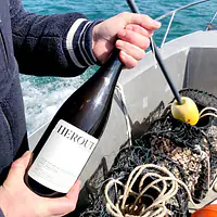 CUVÉE TRADITION - Cidre COTENTIN AOC bio (brut) - Master