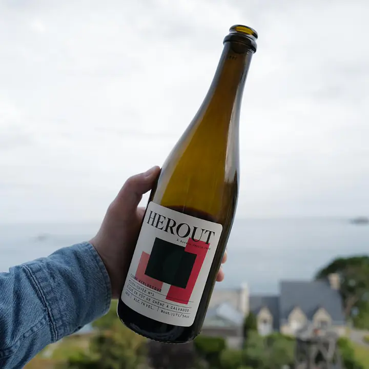 MICRO-CUVÉE N°1 bio - cider fermented in Calvados barrels (3 months) - Master