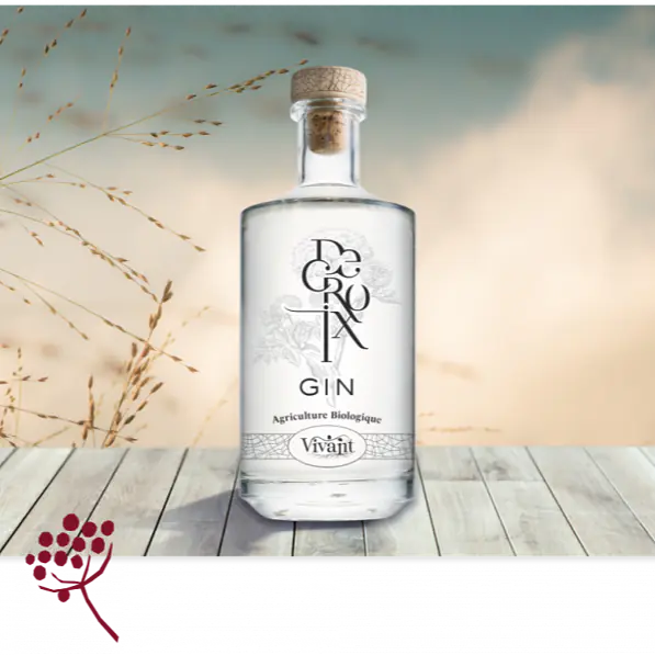 Gin Decroix - Master