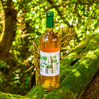 Doric White Wine - Master
