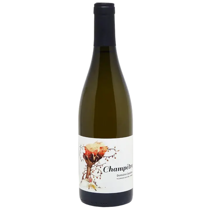Champetre blanc - Master