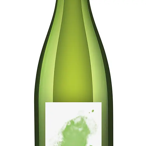 Wabi-Sabi Space bubbles green - Master