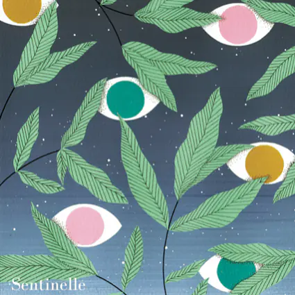 Sentinelle - Master