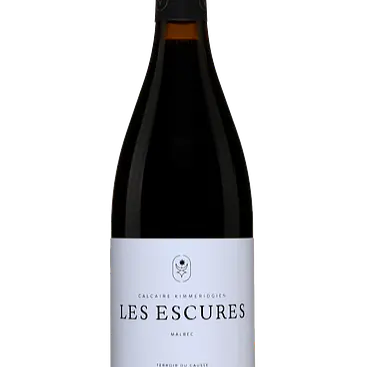 Les Escures - Master