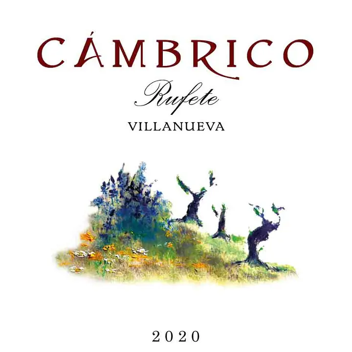 Cámbrico Villanueva Rufete 2021 - Master