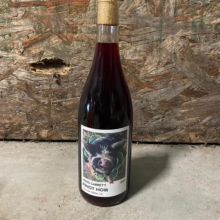 2021 Pinot Noir - Master