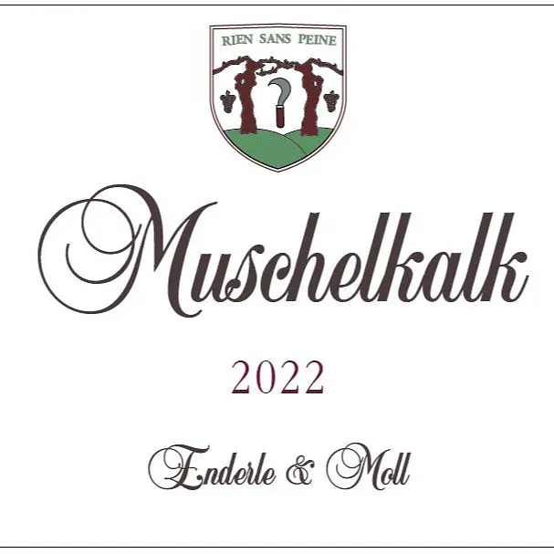 Pinot Noir "Muschelkalk" - Master
