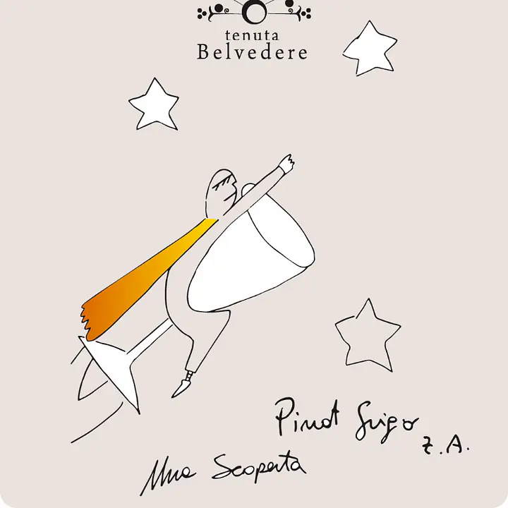 UNA SCOPERTA - Pinot Grigio - Master