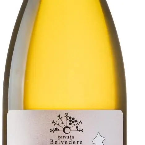 UNA SCOPERTA - Pinot Grigio - Master