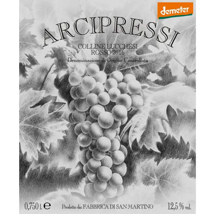 Arcipressi - Master