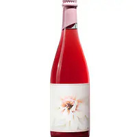 PÉT`NAT`ROSÉ - Master