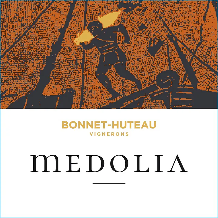 Médolia - Master