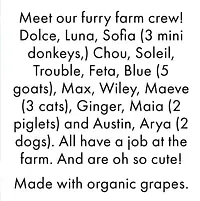 Natty Pets sparkling orange (250 ml can) - Master