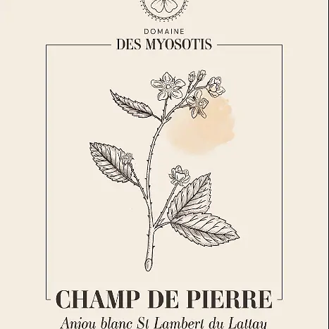 Champ de Pierre - Master