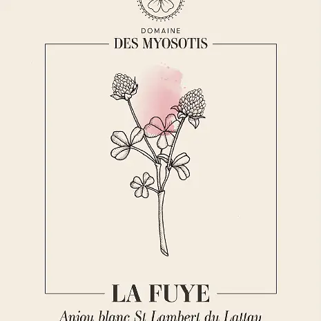 La Fuye - Master