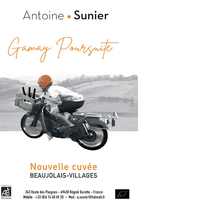 Beaujolais Villages "Gamay Poursuite"  - Master