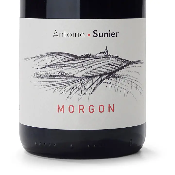 Morgon - Master