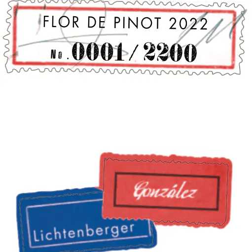 Flor de Pinot - Master