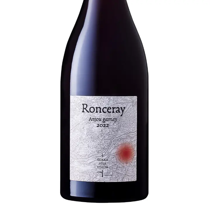 Ronceray - Master