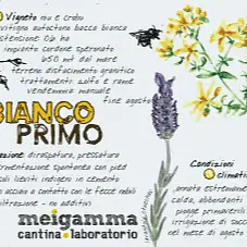 MEIGAMMA BIANCO PRIMO - Master