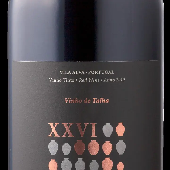Mestre Daniel Talha XV - Master