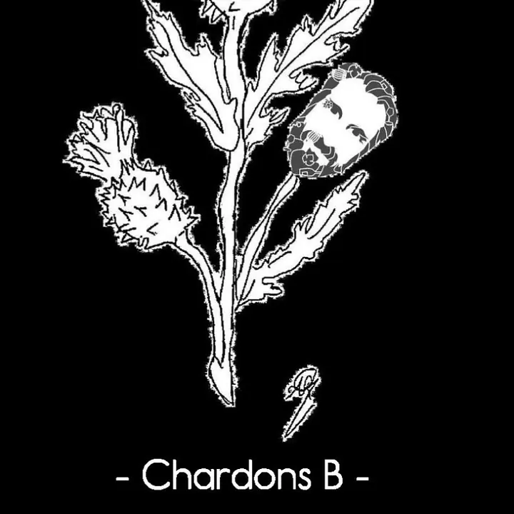 Chardons Blanc - Master