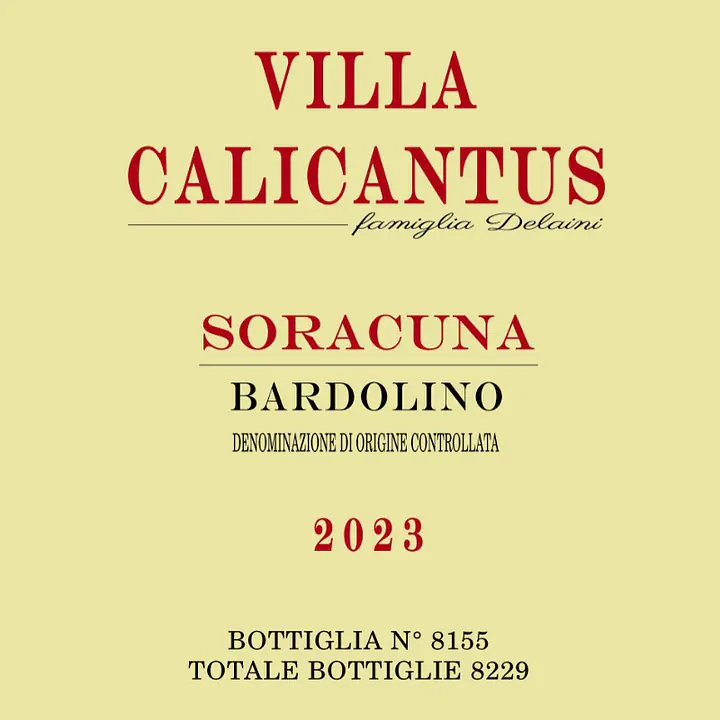 SORACUNA - Master