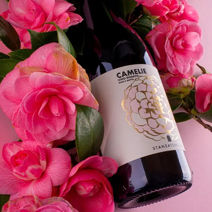 Camelie - Master