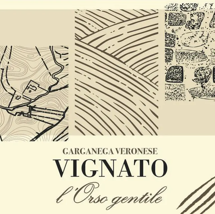 L'Orso gentile - Master
