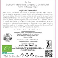 RUSSU DOC SICILIA BIOLOGICO - Master
