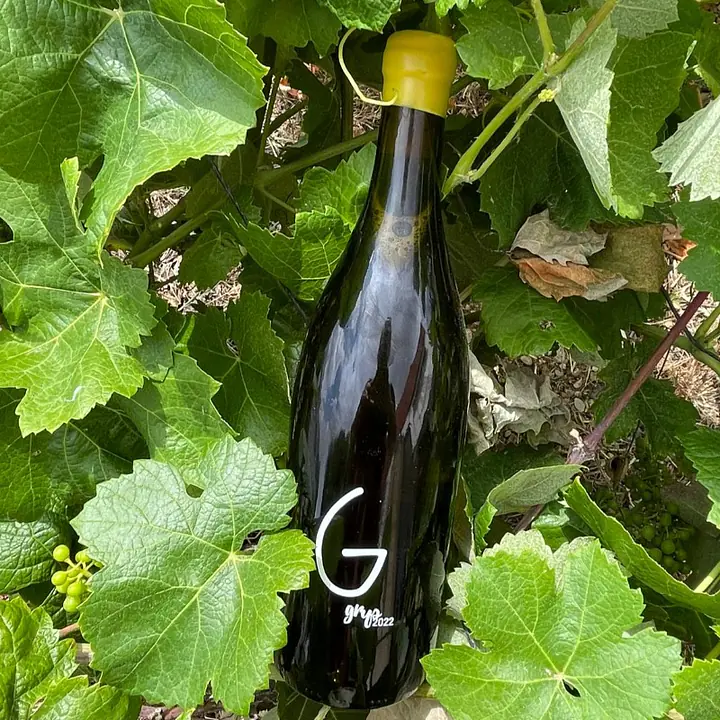 Grys by gratias - Master